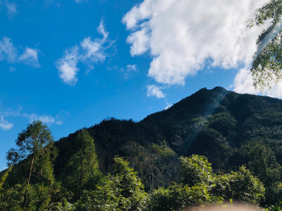 晴空下的后山3