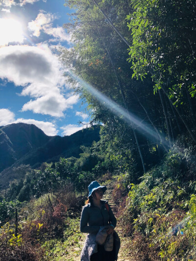 晴空下的后山3