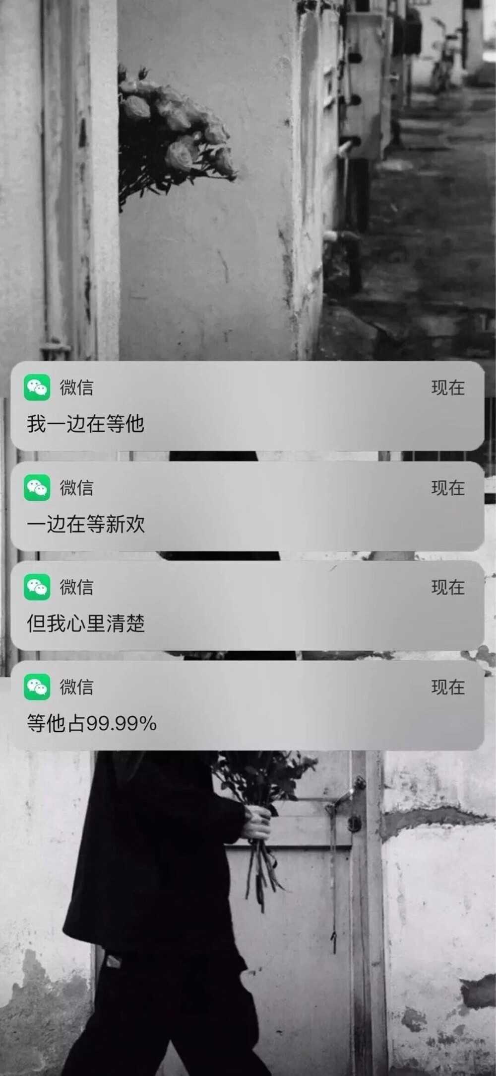 信息壁纸