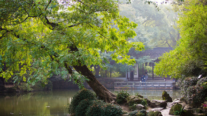 鱼浮浅碧，莲开静水，一朵苞含秋韵水边闲坐思悠悠，心已似、游云远近