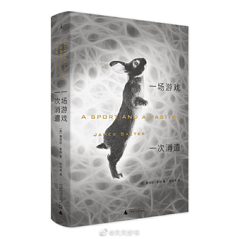 【新书】《一场游戏一次消遣》是美国作家詹姆斯·索特的长篇小说，出版于1967年。故事背景是上世纪六十年代初期的法国，围绕着一个在巴黎游荡的美国年轻人与一位法国女子的邂逅，徐徐展开一个忧伤的爱情故事。在短暂的时间及依附于它的一切之外，爱情究竟是什么？是否仅仅是艺术的构想，他人描述的不可能的虚幻之物，被创造出来只为以某种方式理解生命中的相聚和分离？这部看上去只是一个关于法国恋情的小说，实际上却颇具雄心而地曲折探究了故事讲述本身的性质和意义，以及我们需要创造浪漫故事的深层原因。