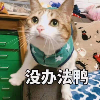 表情