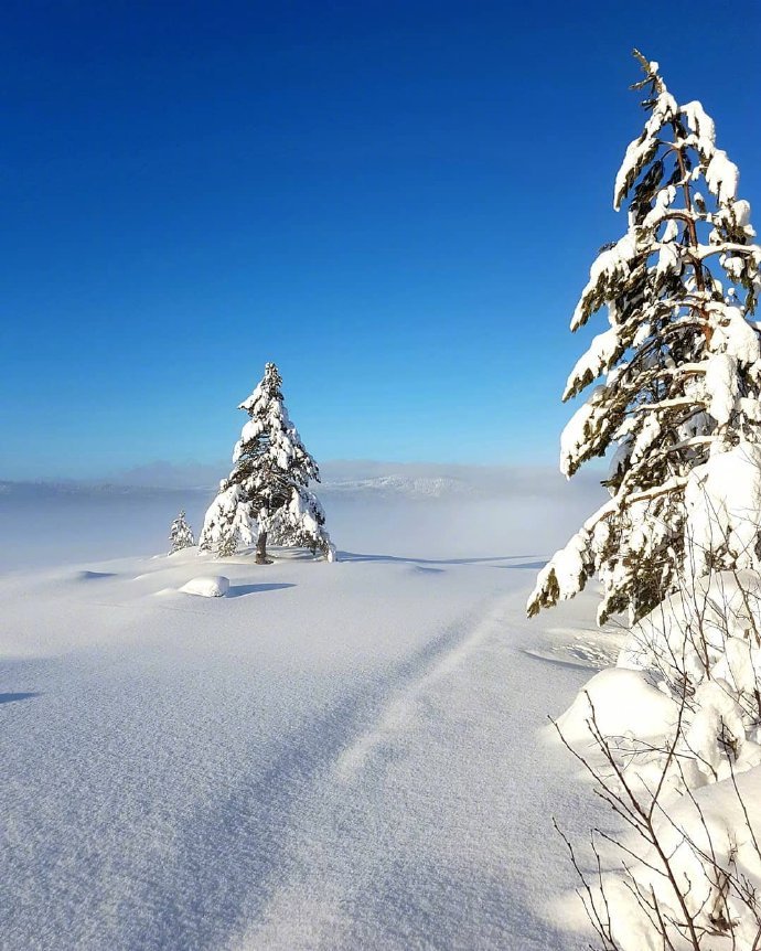 安全感不是多爱，是偏爱，是例外。#暖心情话#