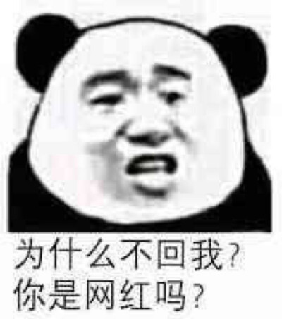 金馆长走一波