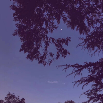 轻解罗裳，独上兰舟