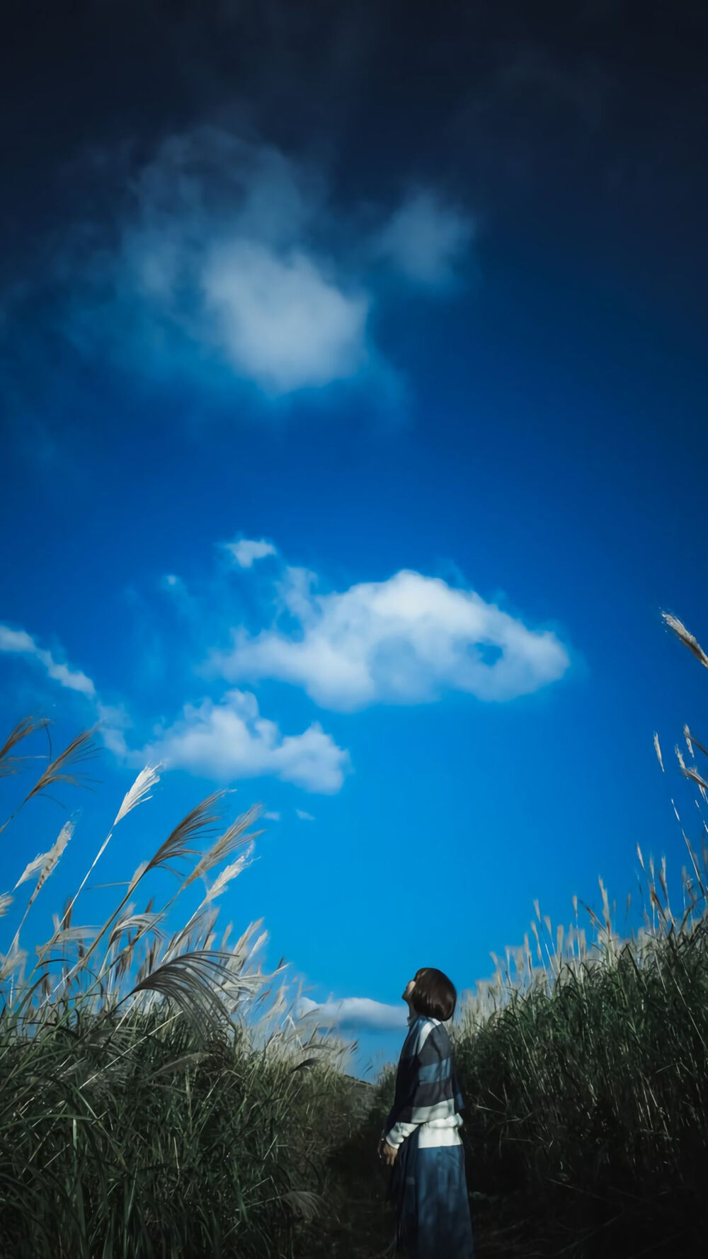 蓝蓝的天空，蓝蓝的海洋。