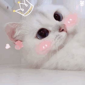 群里存的