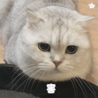 群里存的