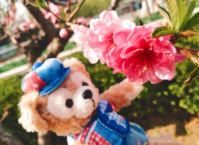 Duffy
