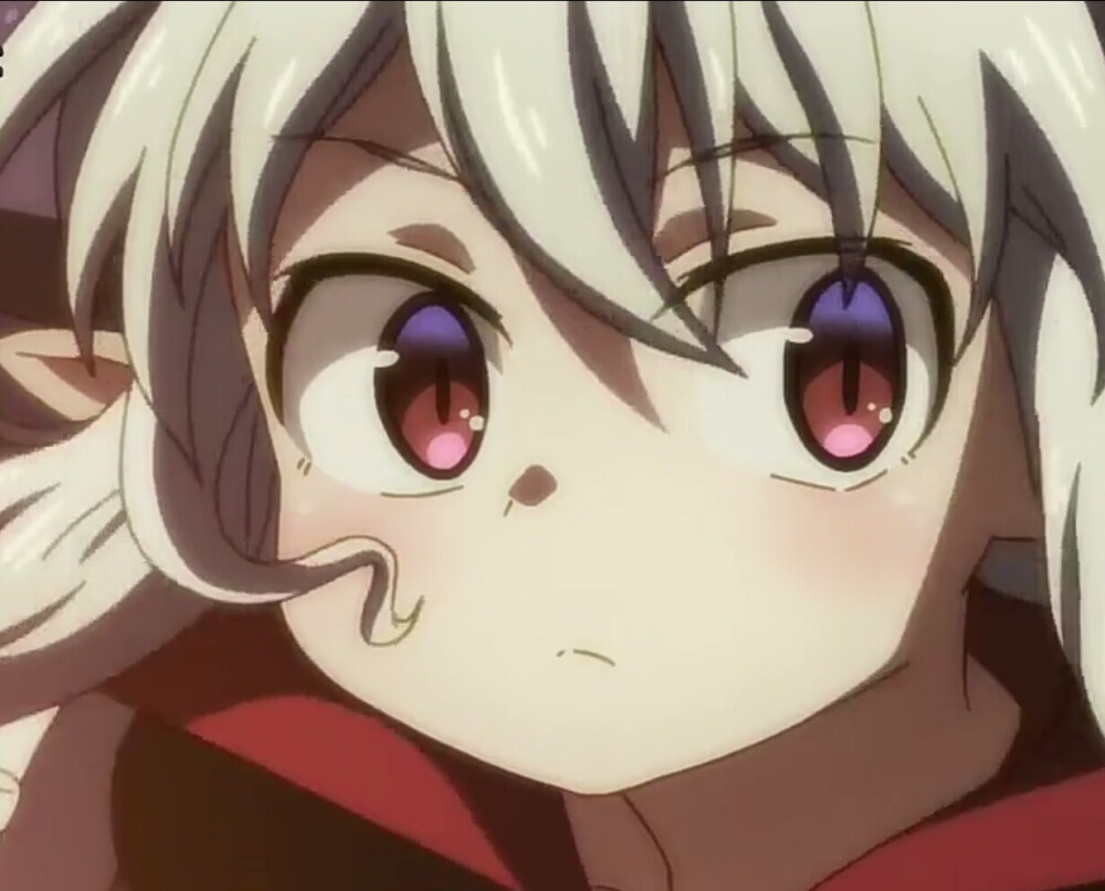 异种族风俗娘评鉴指南