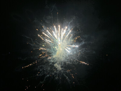 头顶的夜空有烟花缤纷着炸开，在黑色天际绽放着刹那芳华，拼尽一生，只为这一刻灿烂，烟花易冷，朝华瞬凋。
