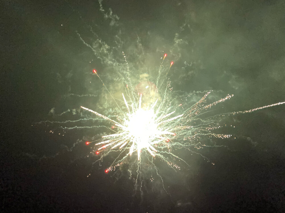 头顶的夜空有烟花缤纷着炸开，在黑色天际绽放着刹那芳华，拼尽一生，只为这一刻灿烂，烟花易冷，朝华瞬凋。
