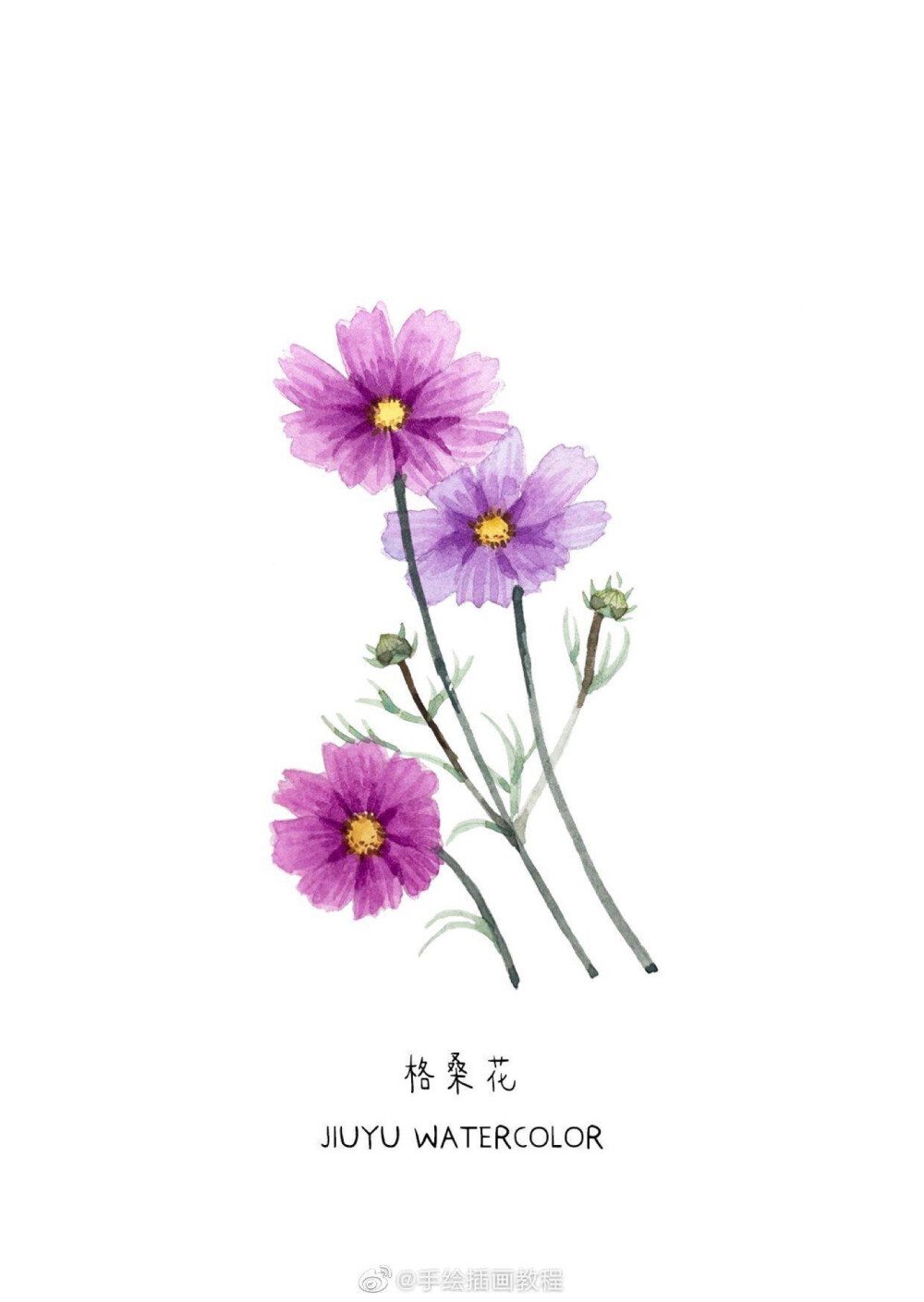 花卉