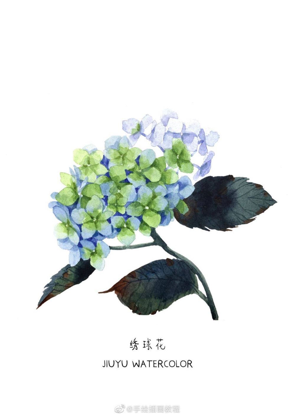 花卉