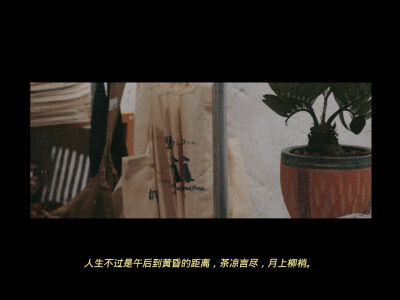 李健/徐志摩/『我们都不是完美的人』