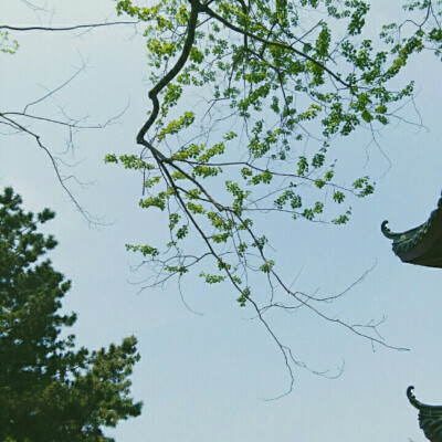 你希望他温饱自如，居有定所，希望他爱不落空，情有归宿，希望他无忧无虑，笑逐颜开