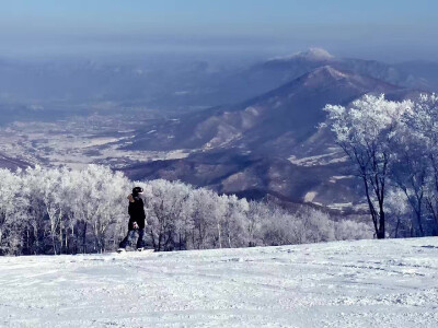 单板，风驰电掣，速度与激情