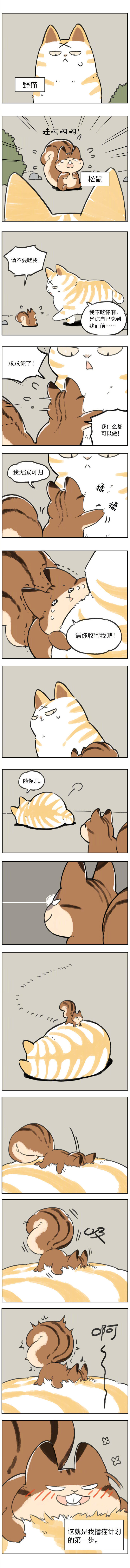 [cp]松鼠x野猫，最后那个满足的表情太可爱了！
#二次元条漫##漫画# @麻尾 ​​​​[/cp]