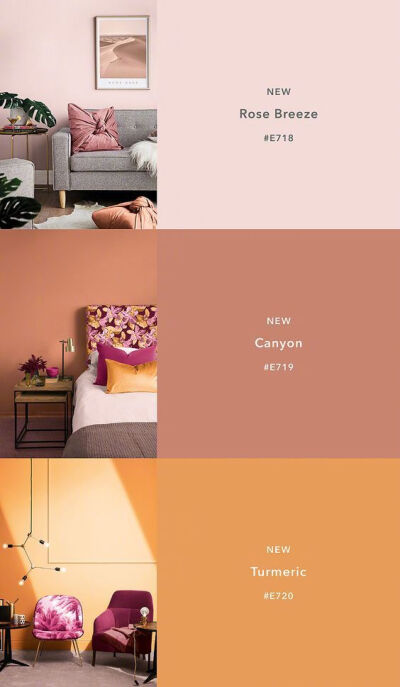 室内 · 颜色的搭配