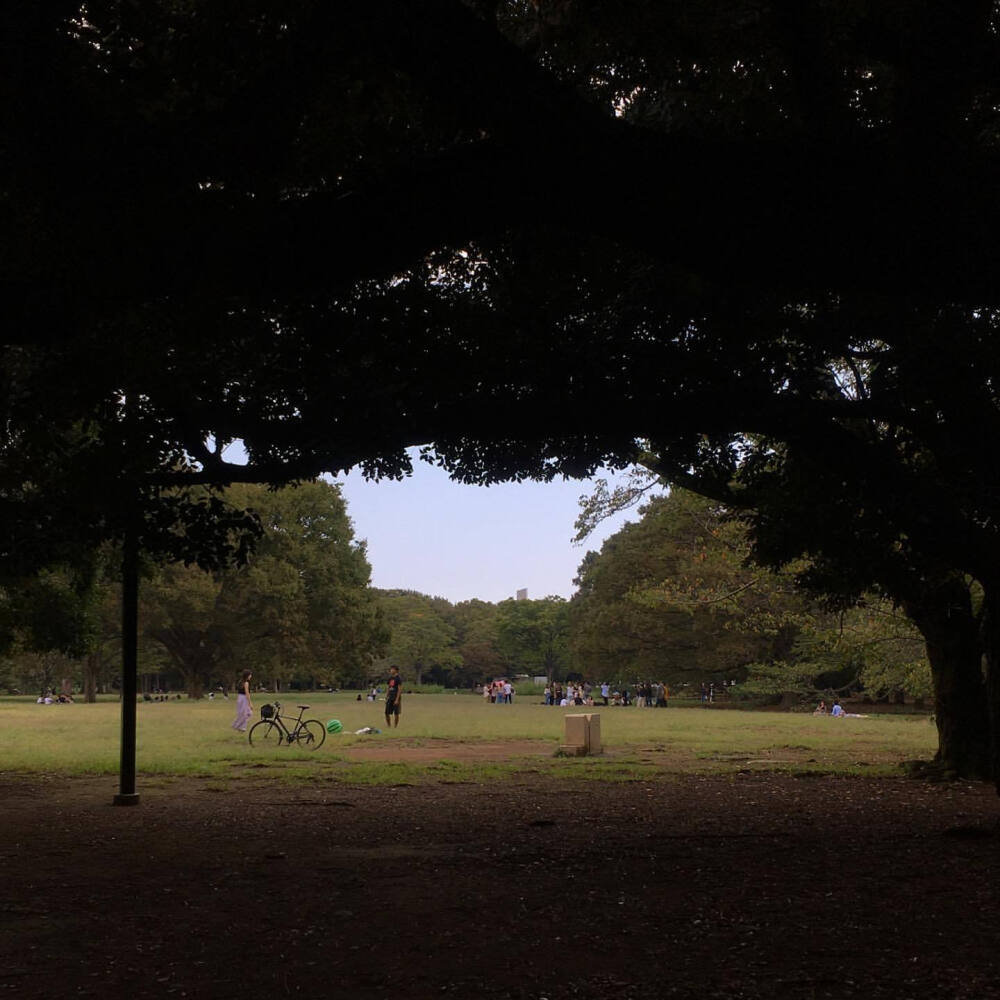 背景图 微博 ©️春耀九月