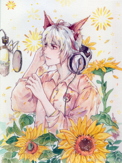 白，云，信，亮，守约✨✨