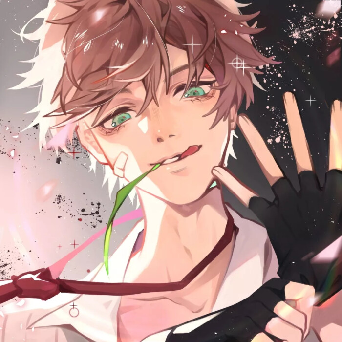 白，云，信，亮，守约✨✨