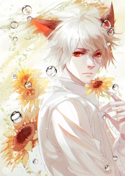 白，云，信，亮，守约✨✨