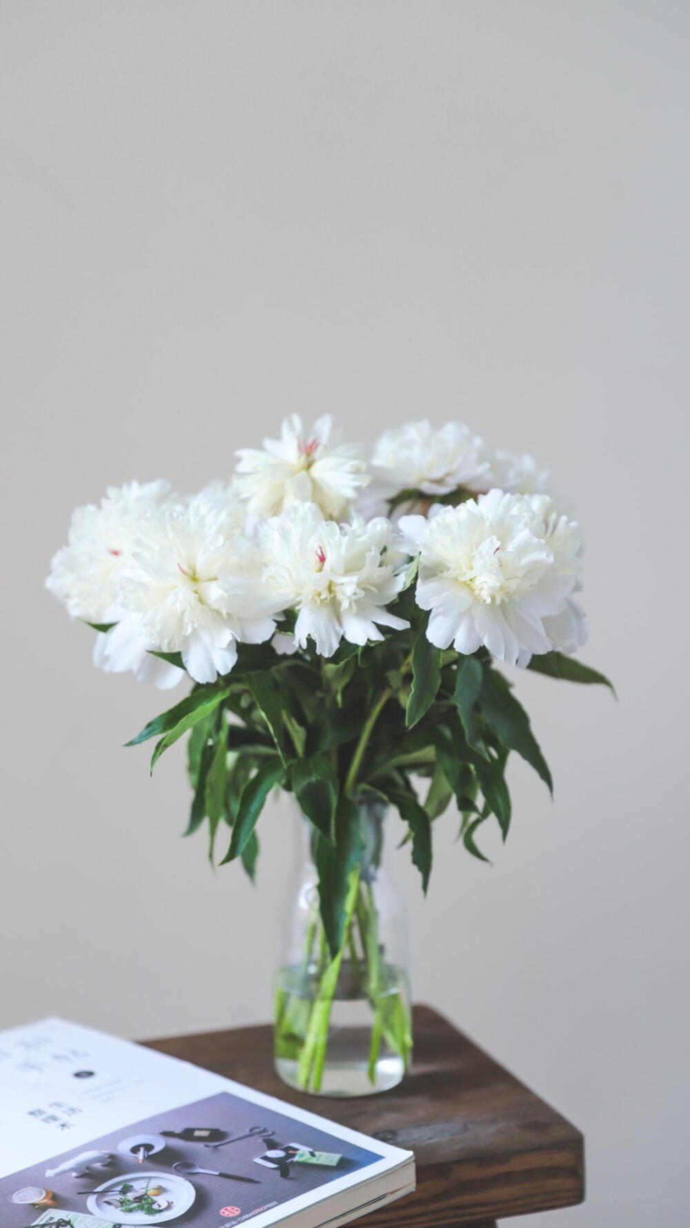 壁纸～静物～花