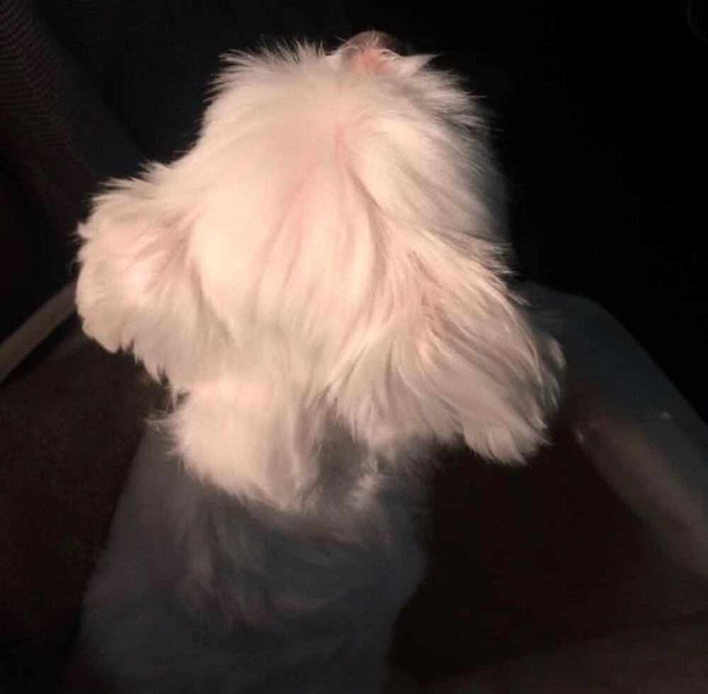 好久不见 注意拿图素质