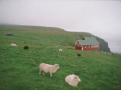 背景背景背景图