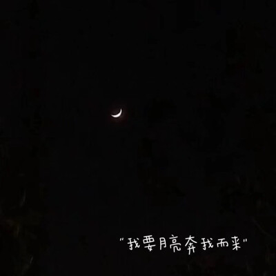 背景背景背景图