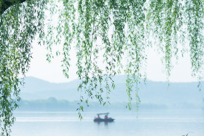 宛转若游丝，浅深栽绿崦。年年立春后，即被啼莺占