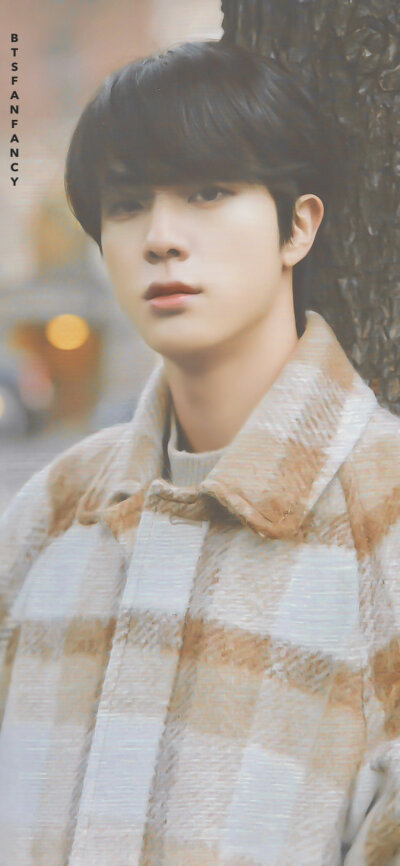 金硕珍
wb_BTSFanFancy