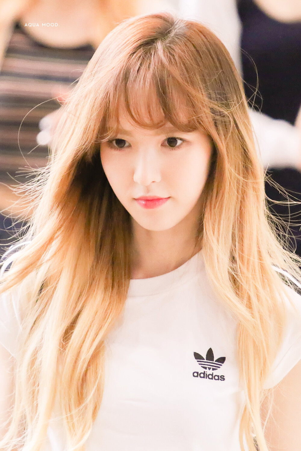 Red Velvet Wendy 孙承欢 孙胜完