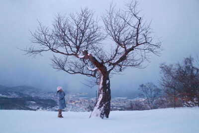 日本旅行 / 札幌⇌小樽巴士一日游不能出门太无聊？可以把旅行计划做起来啦现在的北海道，正是游玩好时候。搭乘巡巡巴士，上午从札幌出发，前往KIRORO冰雪度假村。沿途的风景让人舍不得移开眼睛，明明入眼都是白色的…