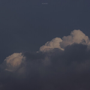 抹茶竹炭卷/weibo