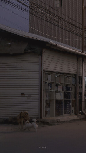 抹茶竹炭卷/weibo