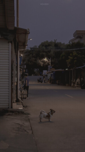 抹茶竹炭卷/weibo