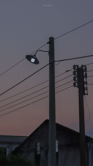 抹茶竹炭卷/weibo