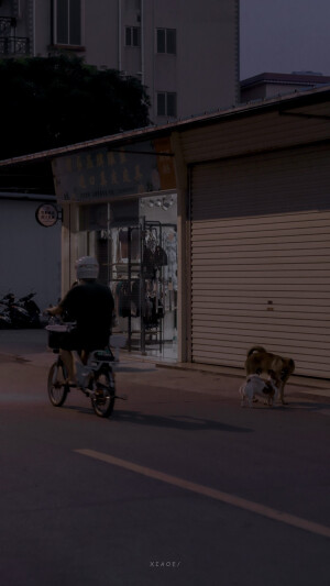 抹茶竹炭卷/weibo