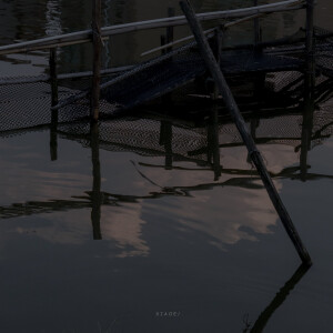 抹茶竹炭卷/weibo