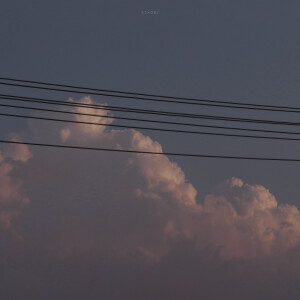 抹茶竹炭卷/weibo