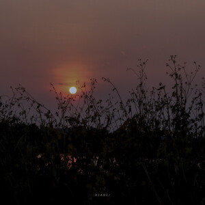 抹茶竹炭卷/weibo