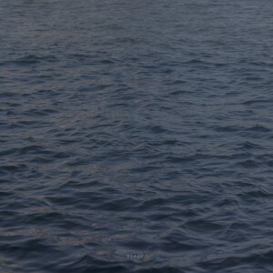 抹茶竹炭卷/weibo