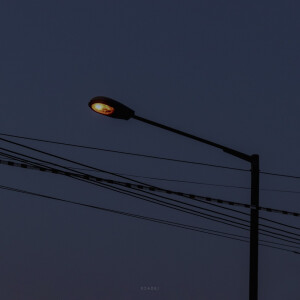 抹茶竹炭卷/weibo