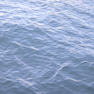 抹茶竹炭卷/weibo