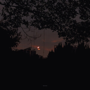 抹茶竹炭卷/weibo