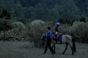 抹茶竹炭卷/weibo