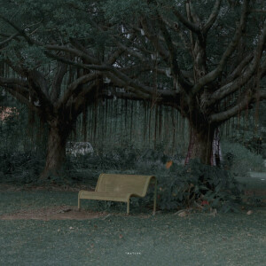 抹茶竹炭卷/weibo