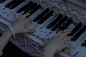 抹茶竹炭卷/weibo